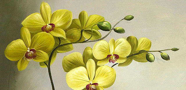 0B 《高贵兰花》 当代油画家 王露露 花卉写实油画